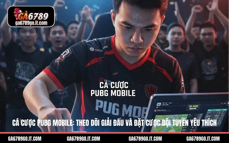Cá Cược PUBG Mobile: Theo Dõi Giải Đấu Và Đặt Cược Đội Tuyển Yêu Thích