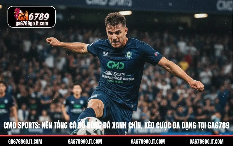 CMD Sports: Nền Tảng Cá Độ Bóng Đá Xanh Chín, Kèo Cược Đa Dạng Tại ga6789