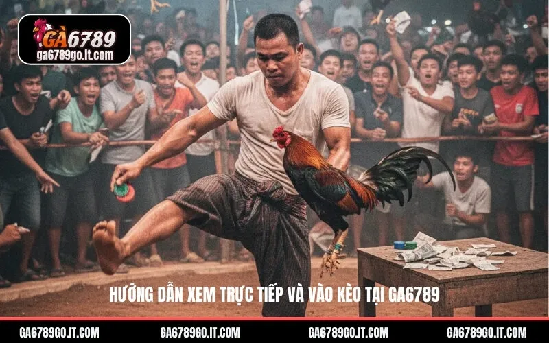 Hướng dẫn xem trực tiếp và vào kèo tại Ga6789