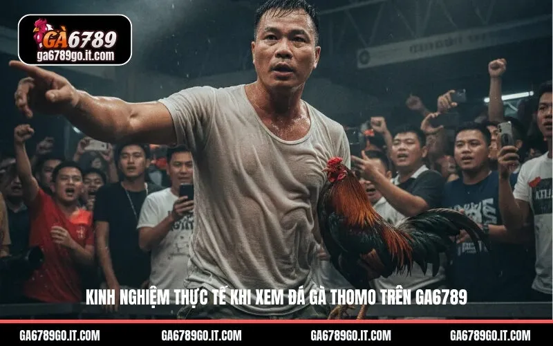 Kinh Nghiệm Thực Tế Khi Xem Đá Gà Thomo Trên Ga6789