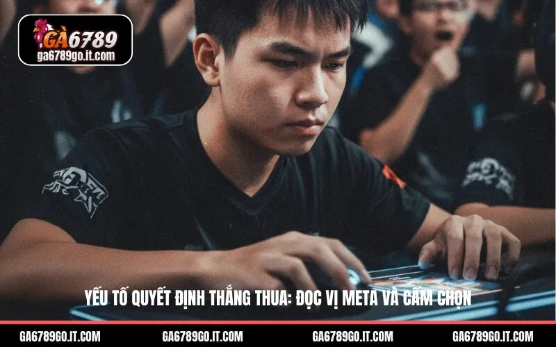 Yếu Tố Quyết Định Thắng Thua: Đọc Vị Meta và Cấm Chọn