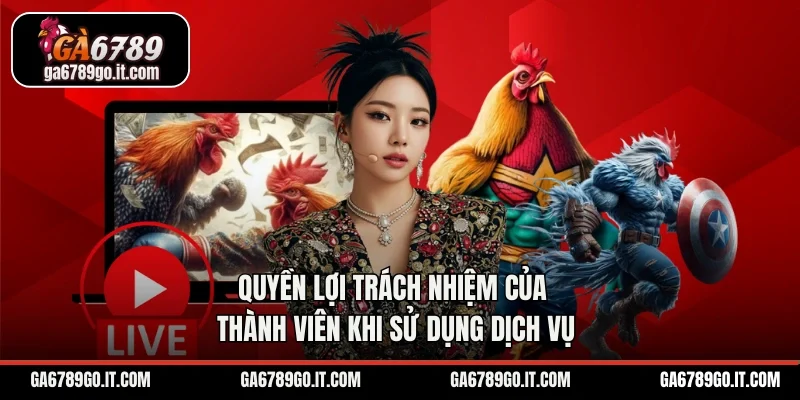 Quyền lợi trách nhiệm của thành viên khi sử dụng dịch vụ