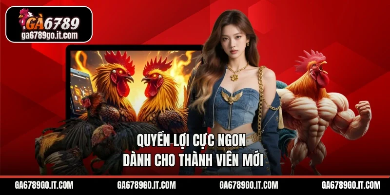 Quyền lợi cực ngon dành cho thành viên mới