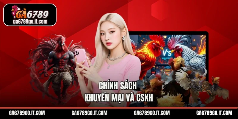 Chính sách khuyến mại và cskh