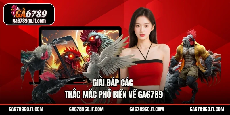 Giải đáp các thắc mắc phổ biến về GA6789