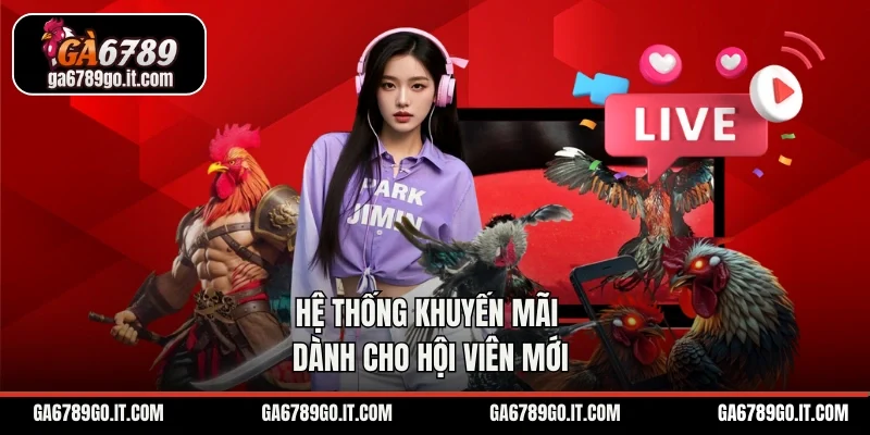 Hệ thống khuyến mãi dành cho hội viên mới