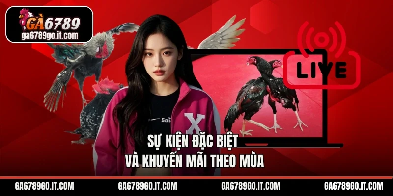 Sự kiện đặc biệt và khuyến mãi theo mùa