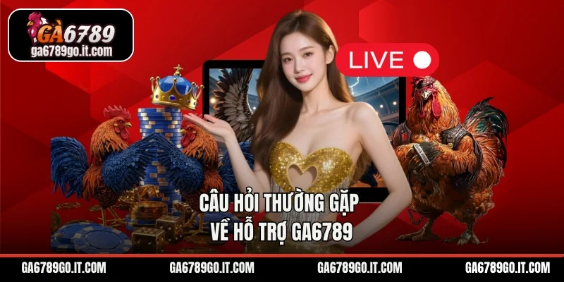 Câu hỏi thường gặp về hỗ trợ GA6789