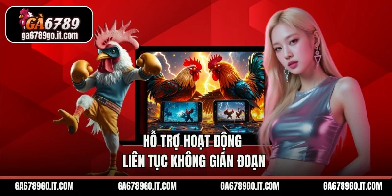 Hỗ trợ hoạt động liên tục không gián đoạn